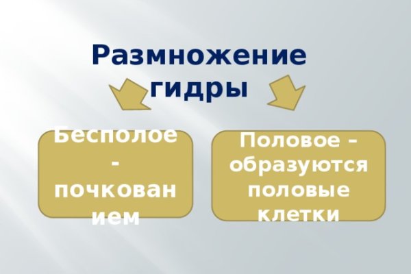 Кракен пользователь не найден что делать