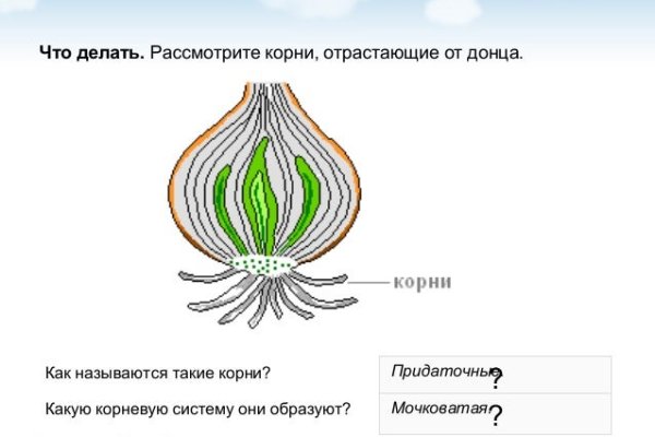 Ссылка кракен сегодня